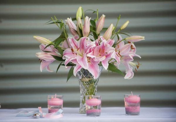 Velas Rosas