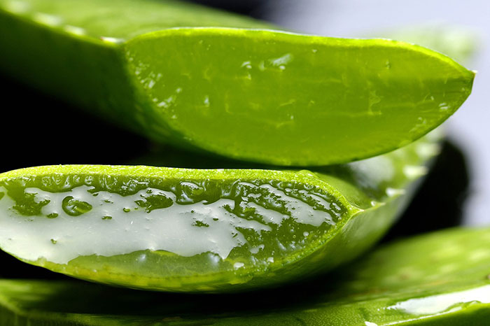 Aloe Vera Verrugas