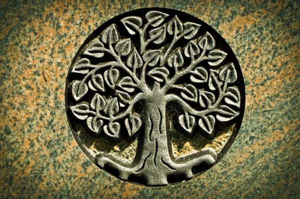 Árbol de la vida: Significado y origen