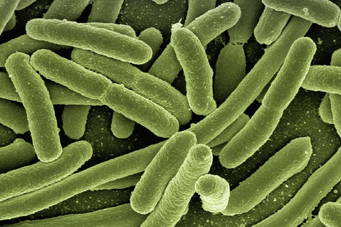 Bacteria helicobacter pylori: Síntomas
